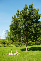 Similar image 18545010