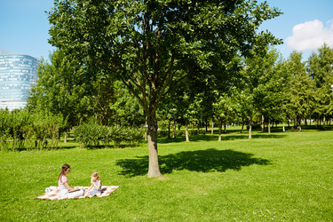 Similar image 18545135