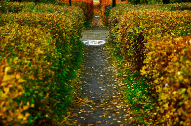 Similar image 18511763