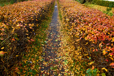 Similar image 18511778