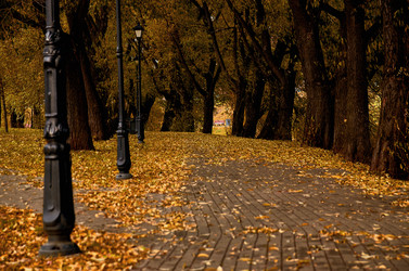 Similar image 18511780