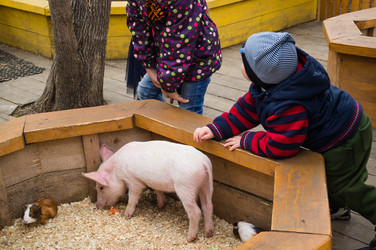 Similar image 18512767