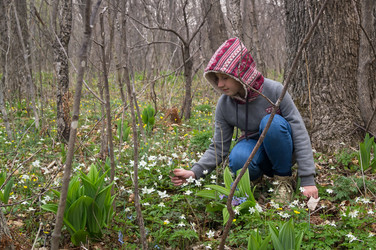 Similar image 18512768