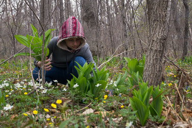 Similar image 18512769