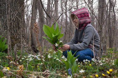 Similar image 18512771