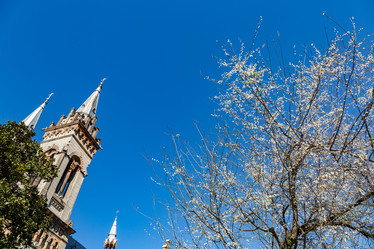 Similar image 18512554