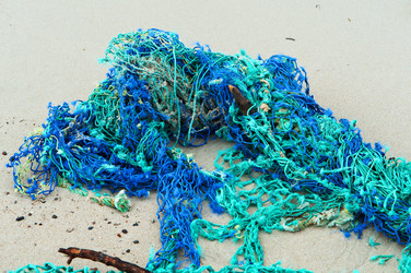 Similar image 18512421