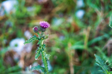 Similar image 18512444