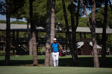 Similar image 19574845