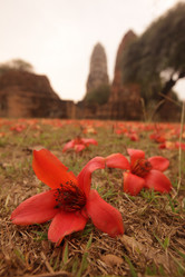 Similar image 19606984