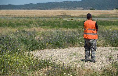 Similar image 19793323