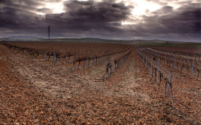 Similar image 19556635