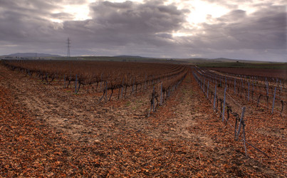 Similar image 19576071