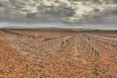 Similar image 19576072