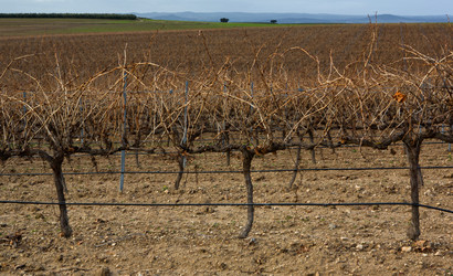 Similar image 19576073