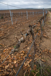 Similar image 19576076