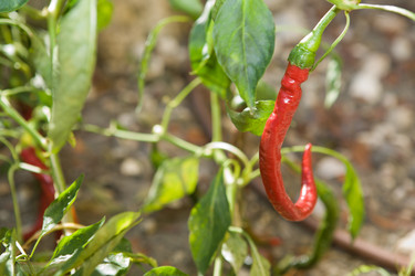 Similar image 19579013