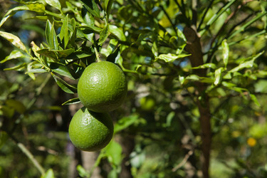 Similar image 19579015