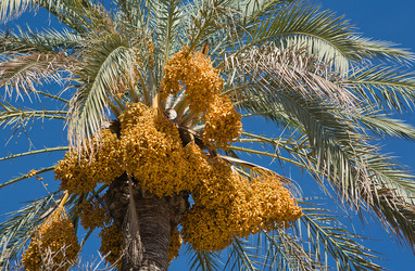 Similar image 19579018