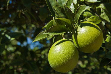 Similar image 19579021