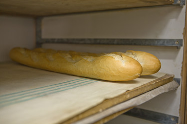 Similar image 19579025