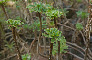 Similar image 19579028