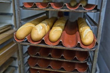 Similar image 19579038