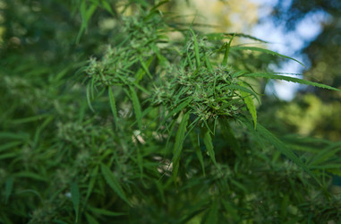 Similar image 19579046