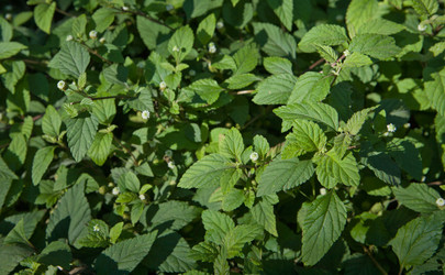 Similar image 19607038