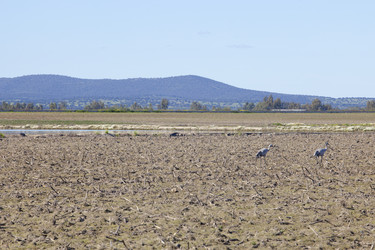 Similar image 19607111