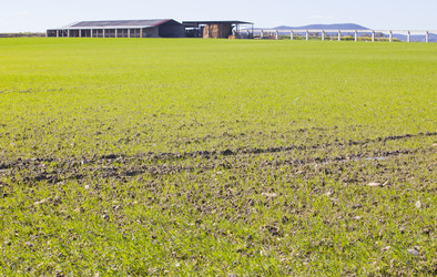 Similar image 19607138