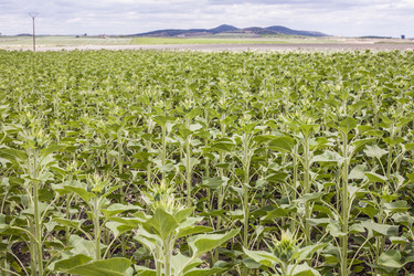 Similar image 19793388