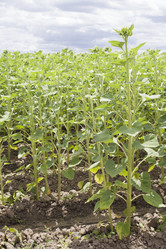 Similar image 19793392