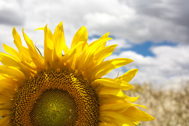 Similar image 19793404