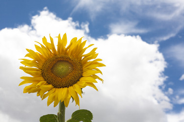 Similar image 19793408