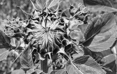 Similar image 19793410