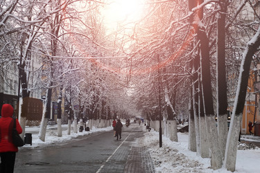 Similar image 19585665