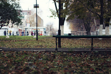 Similar image 19585688