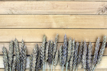 Similar image 19585670