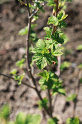 Similar image 19585699