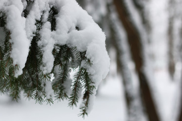 Similar image 19585731