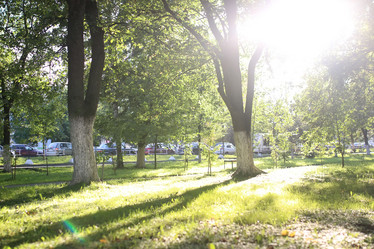 Similar image 19585694