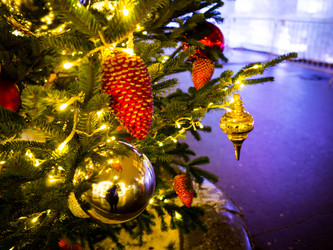 Similar image 19776572