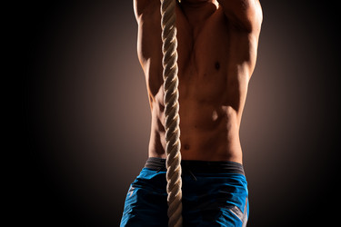 Similar image 19534581