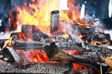 Similar image 19585717