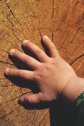 Similar image 19535933