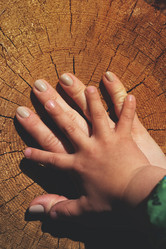 Similar image 19535946