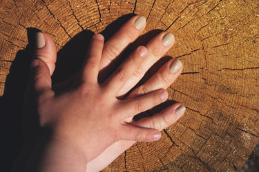 Similar image 19535962