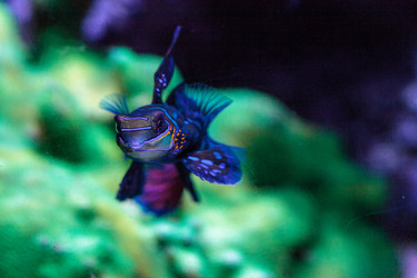 Similar image 19574881