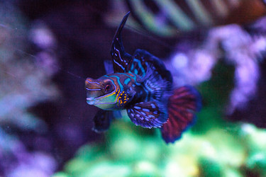 Similar image 19574882